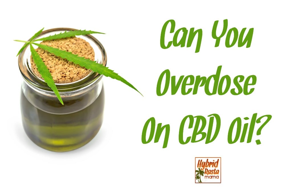 Can You Overdose On Cbd