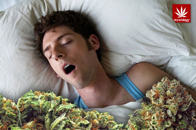 Marijuana Sleeping