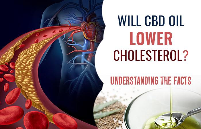 How Effective Is Cbd Oil In Reducing Cholesterol Without Medication