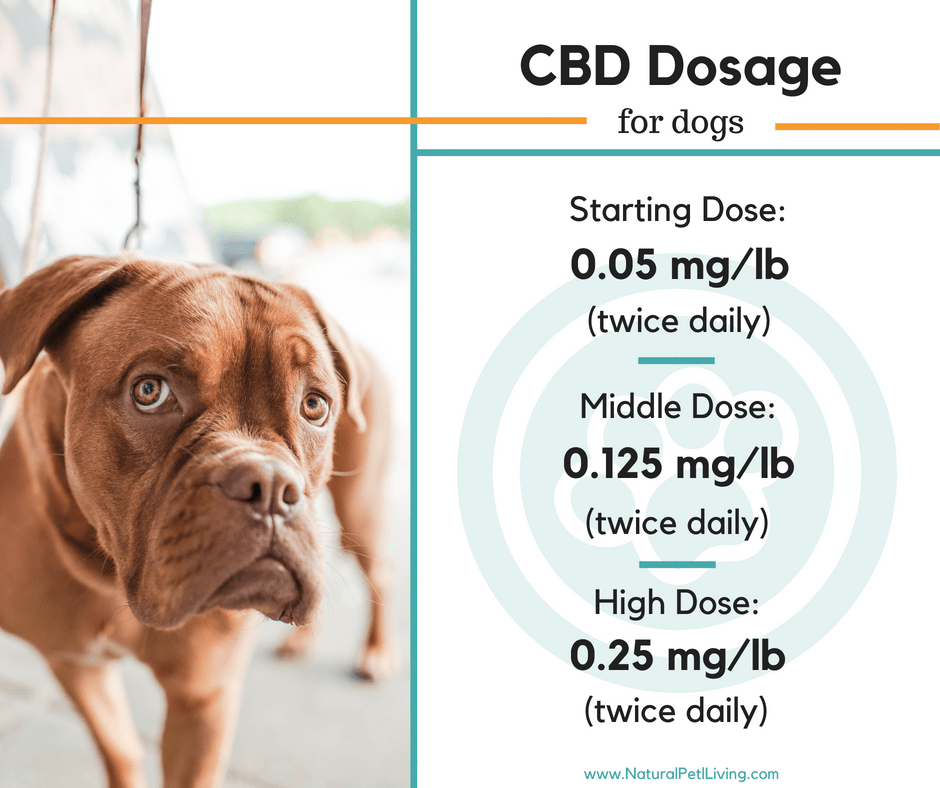 How To Calculate Cbd Oil Dose For Dogs