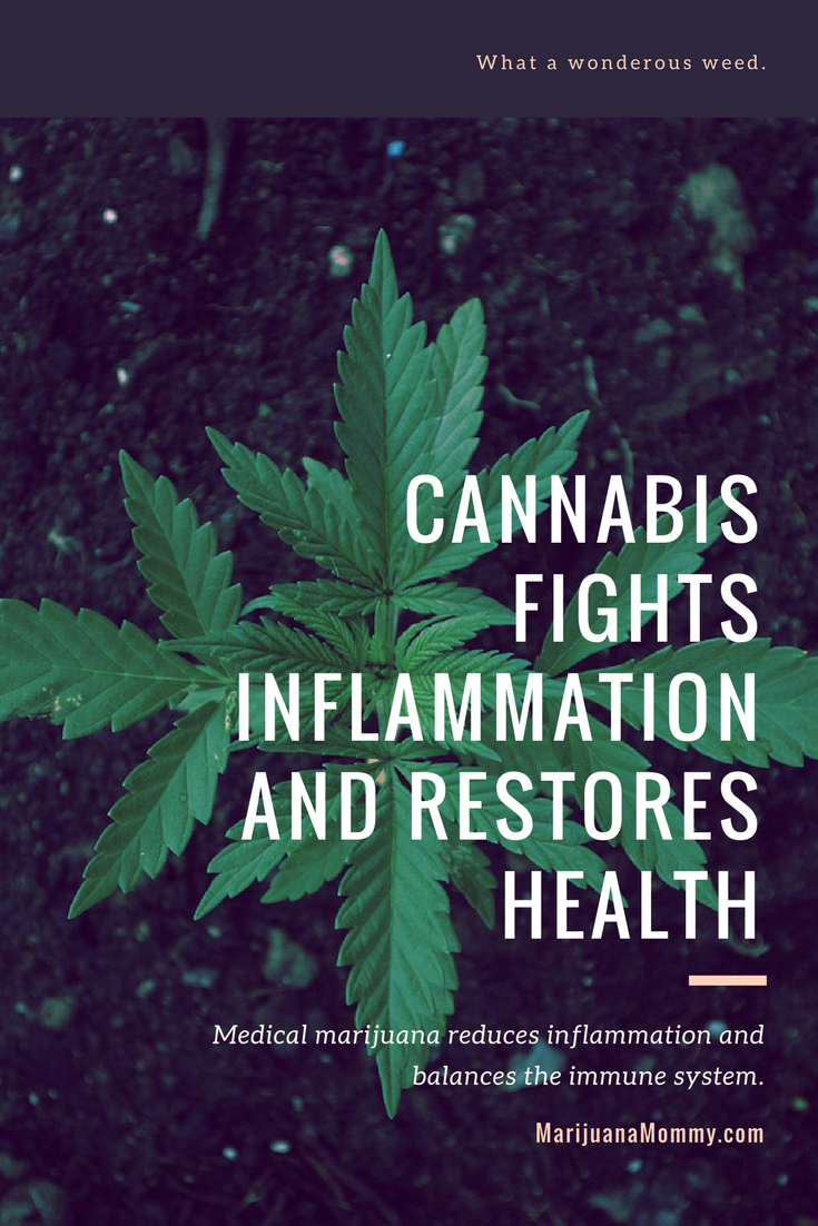 Cannabis Anti Inflammatory