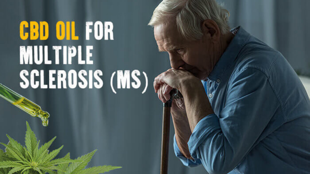 Cbd Oil For Ms