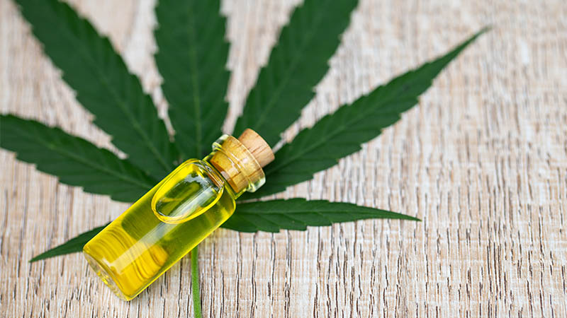 Cbd Oil Study