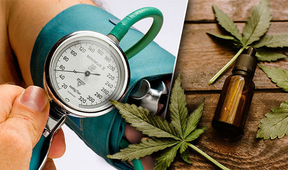 Does Cbd Oil Raise Blood Pressure