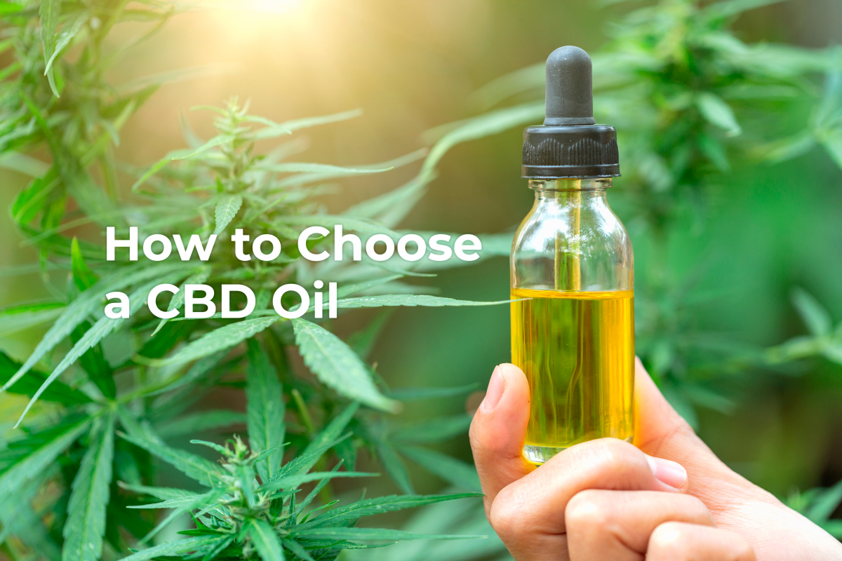 How To Pick Cannabis For Cbd Oil
