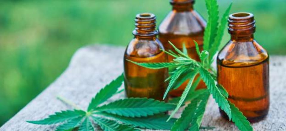 Is Cbd Oil A Miracle For Multiple Sclerosis