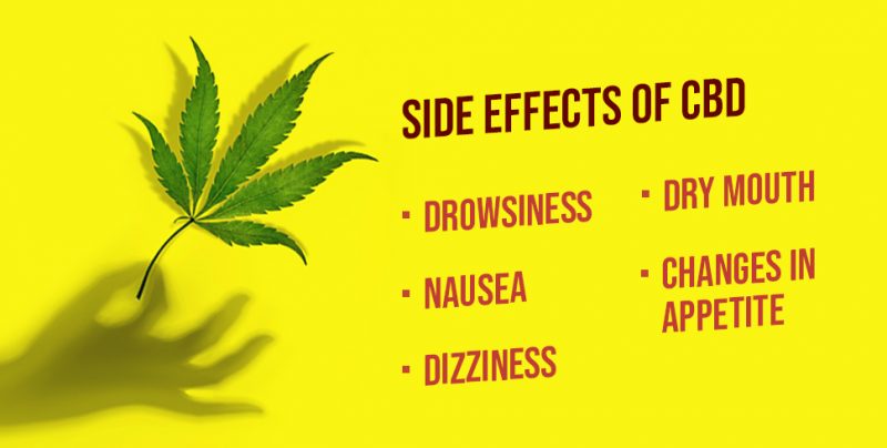 What Are The Side Effects Of Cbd Hemp Oil?
