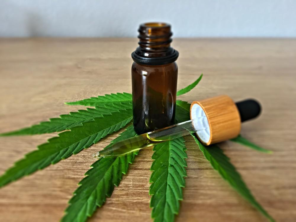 What Is Cbd Oil Made From Shut Up