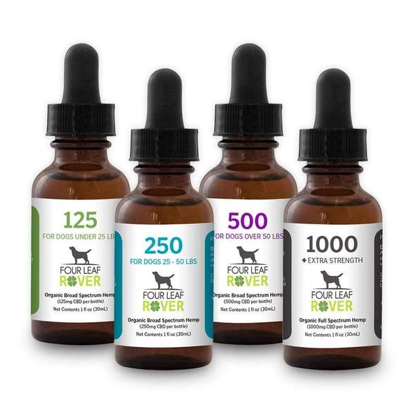 Where To Buy Cbd Oil For Dogs