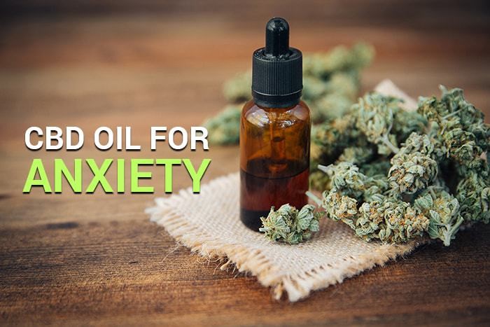 Where To Buy Cbd Oil In Shreveport La