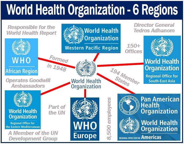 World Health Organization Health Definition