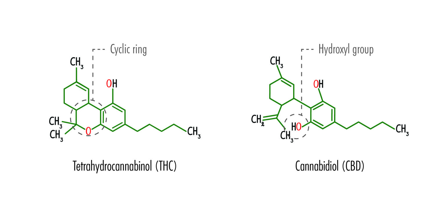 Cbd Chemical Structure » CBD Oil New Daily