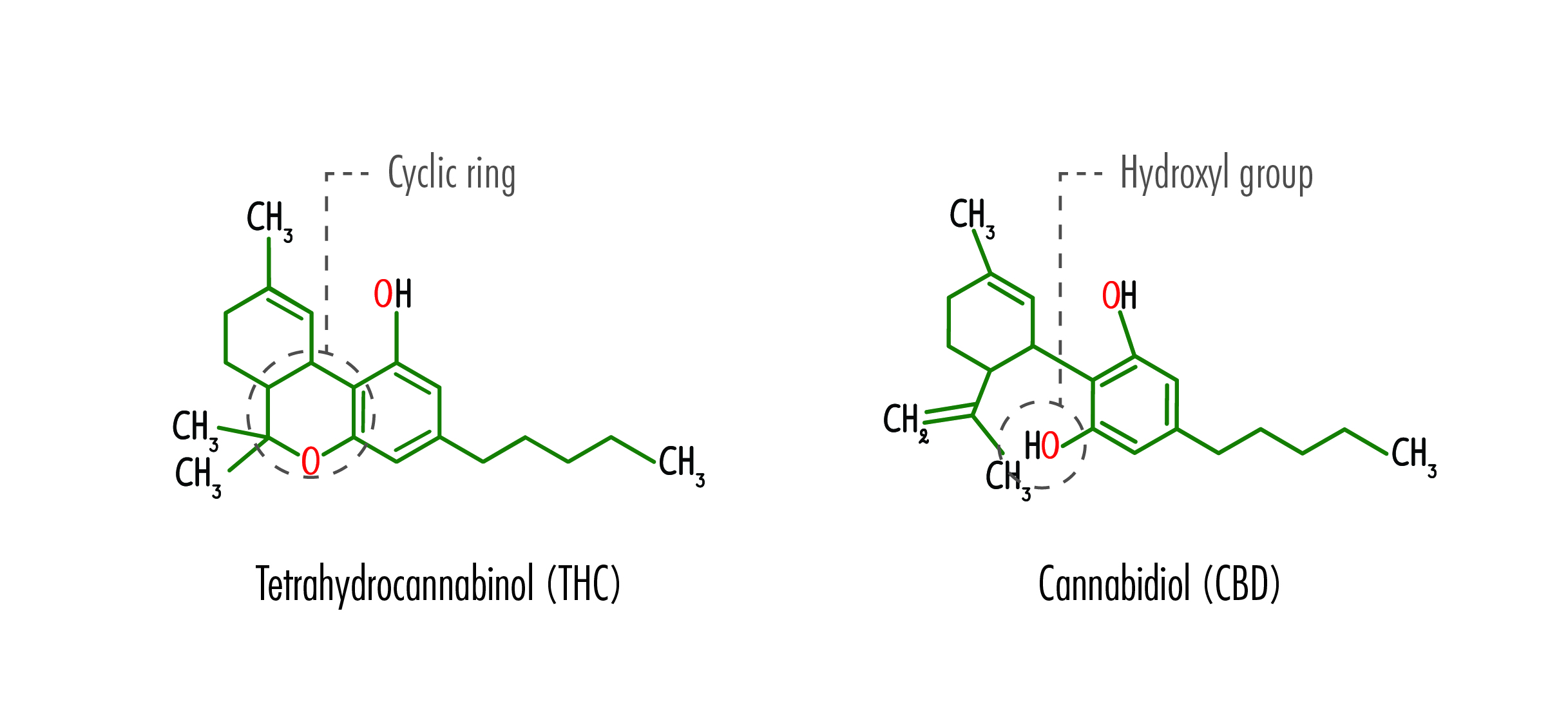 Cbd Chemical Structure