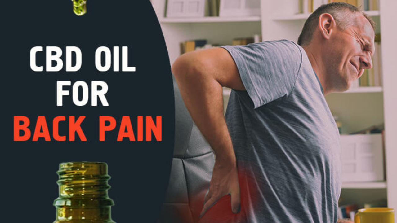 Cbd For Back Pain