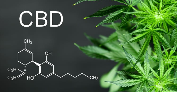 Cbd Oil Efficacy