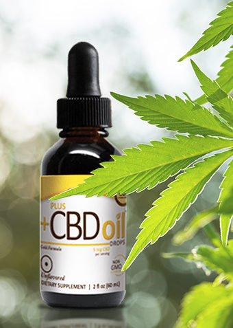 Cbd Oil Quality