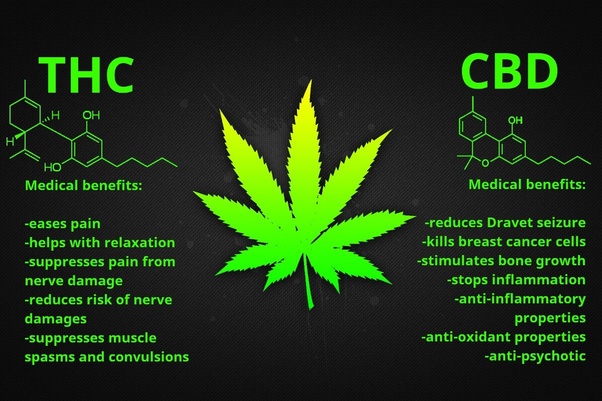 How Much Thc Gets You High