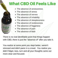 What All Does Cbd Oil Help With