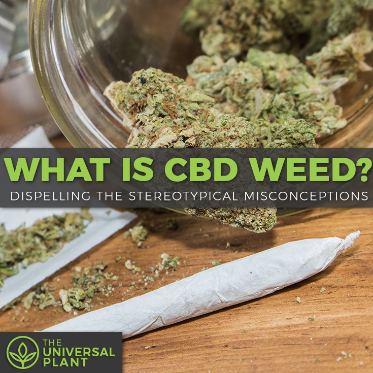 What Is Cbd In Weed