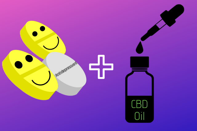 Cbd Oil And Ssri Interaction