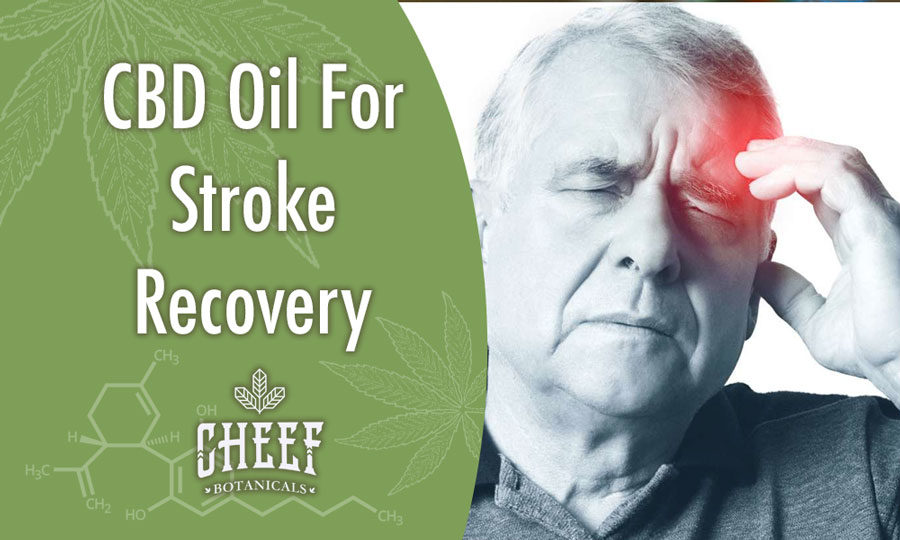 Cbd Oil Dosage For Stroke
