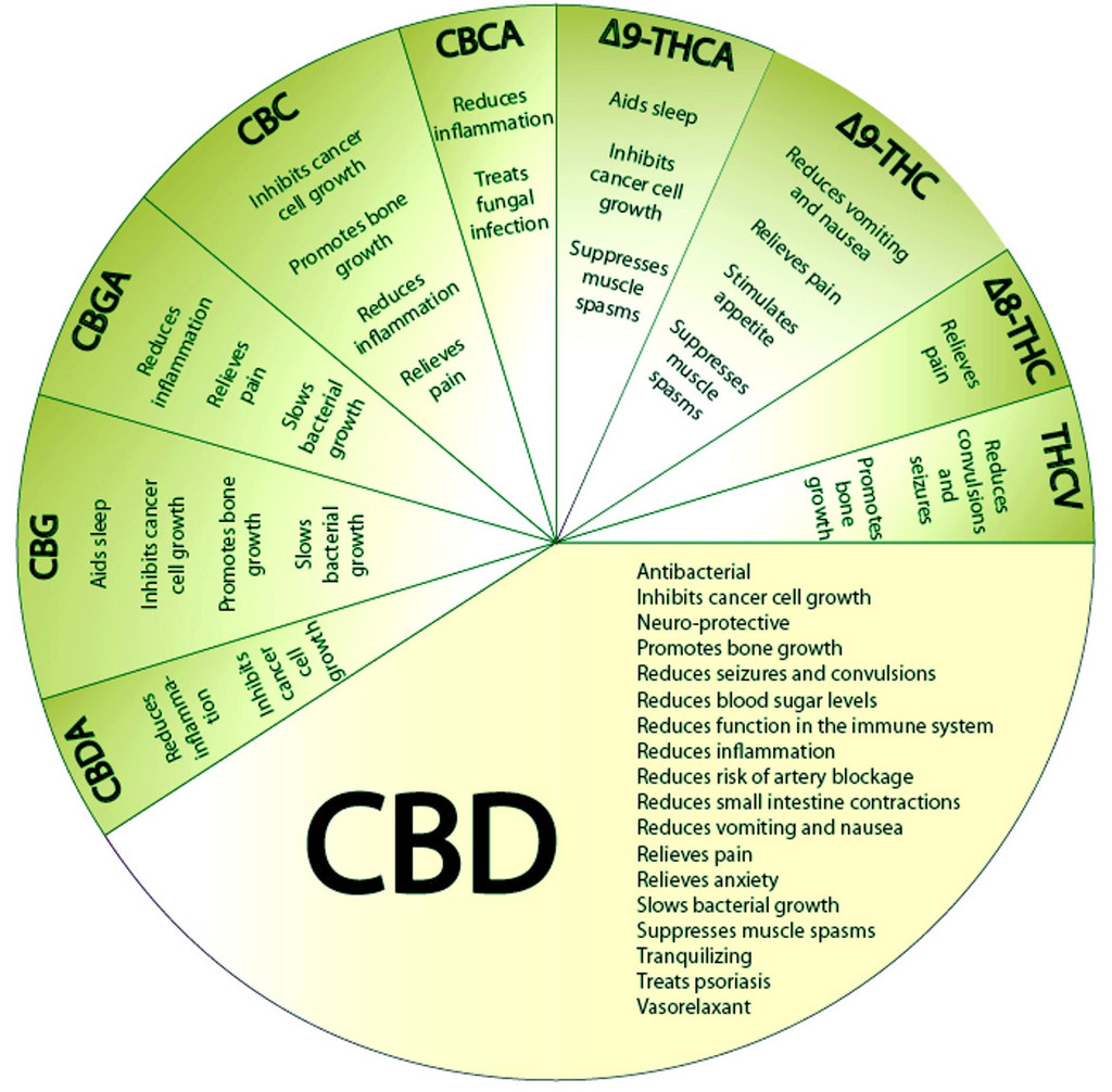 Cbd Oil Properties