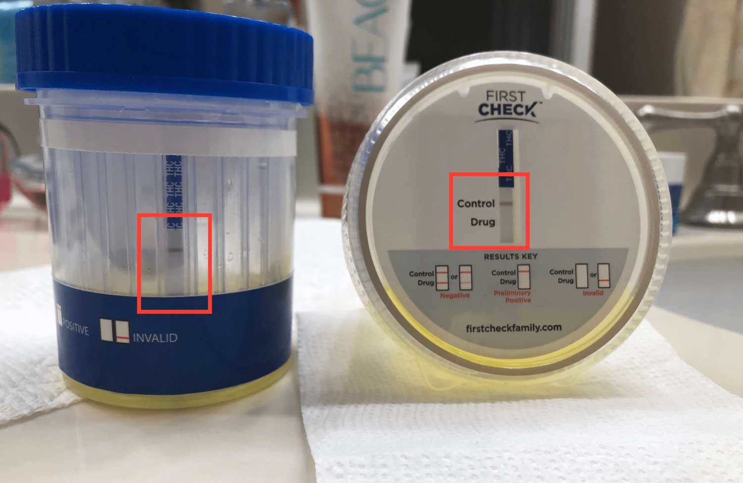 Cbd Oil Test Positive