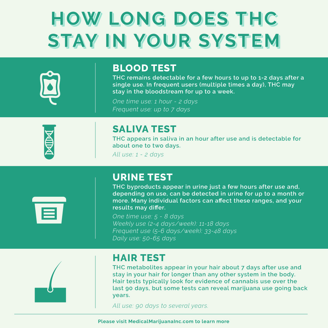 How Long Does Cbd Oil Last In Your System?