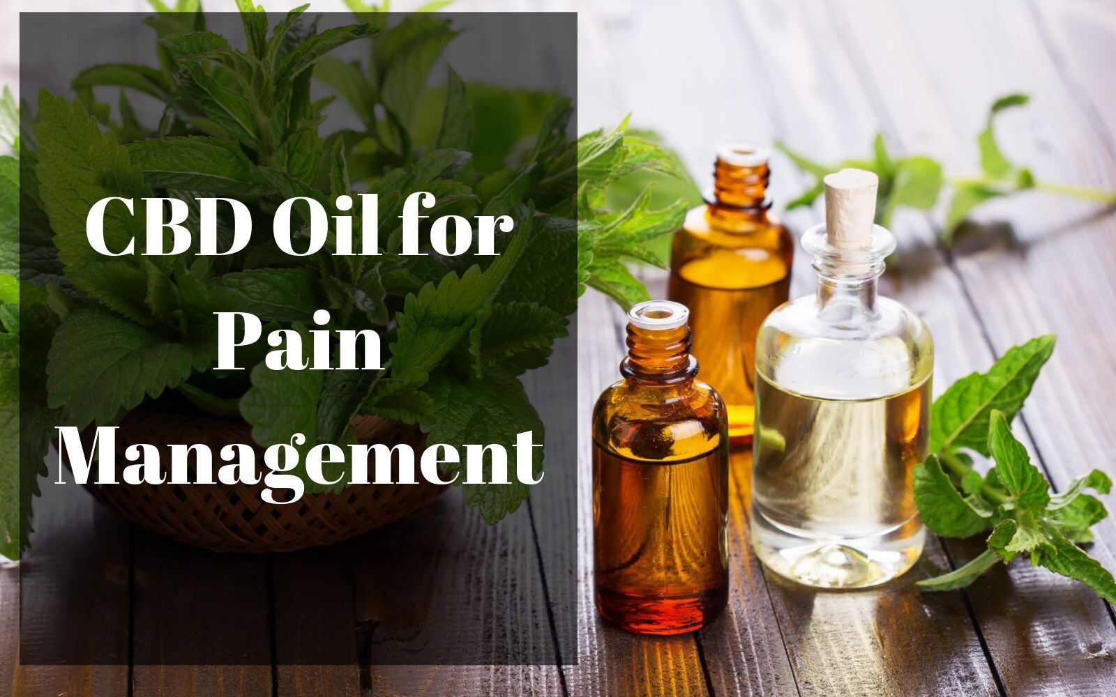 How Much Cbd Oil Is Recommended For Moderate Pain