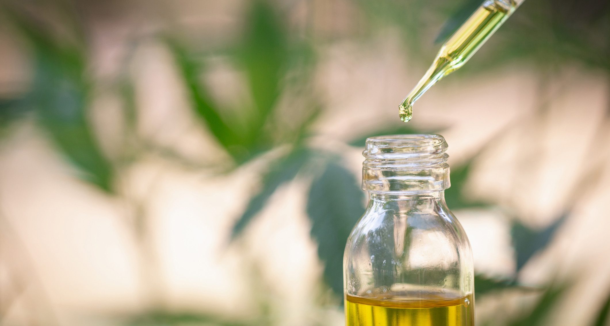 Which Way Of Taking Cbd Oil Is Best For Bladder Cancer