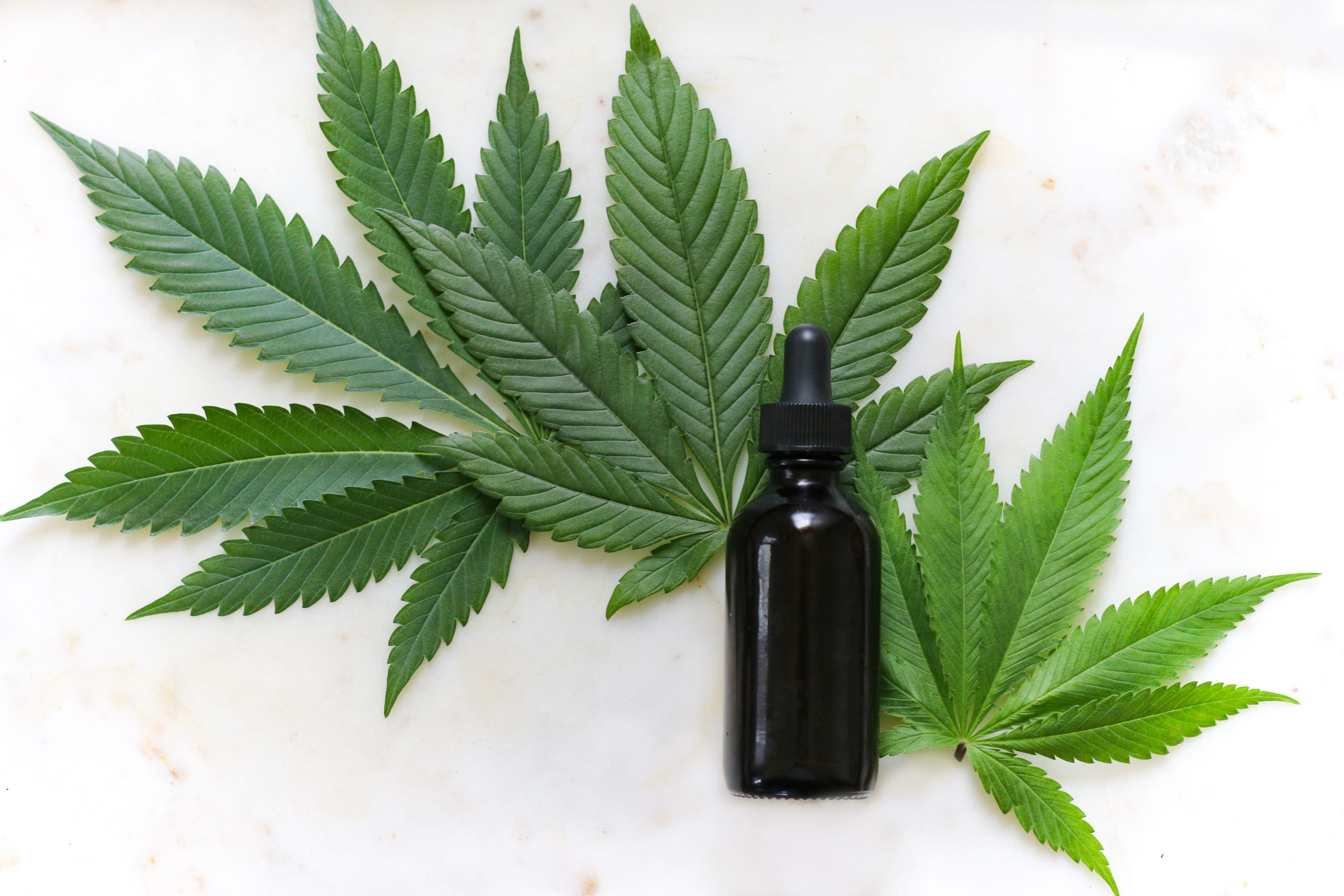 Why Don’t Major Supplement Companies Make Cbd Oil?