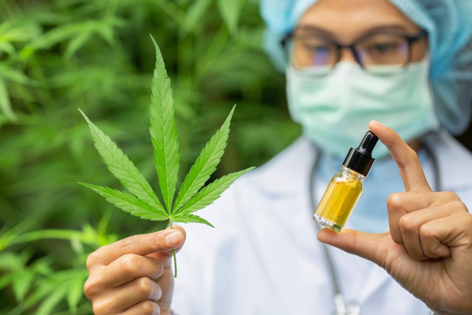 Why Is Selling Cbd Oil High Risk