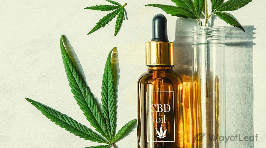 Cbd Oil In Oklahoma: Is It Legal And Where To Buy