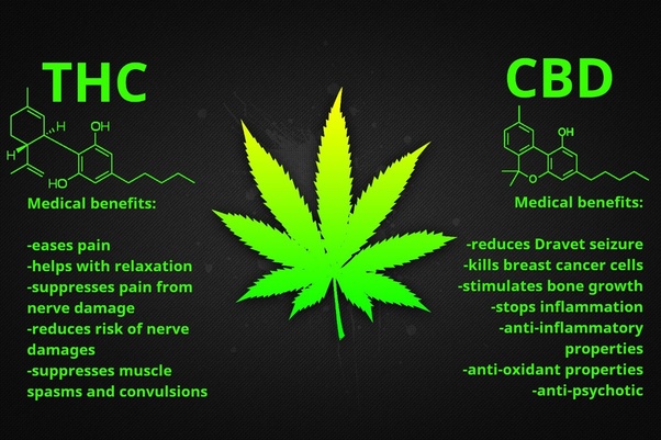 Does Thc Get You High