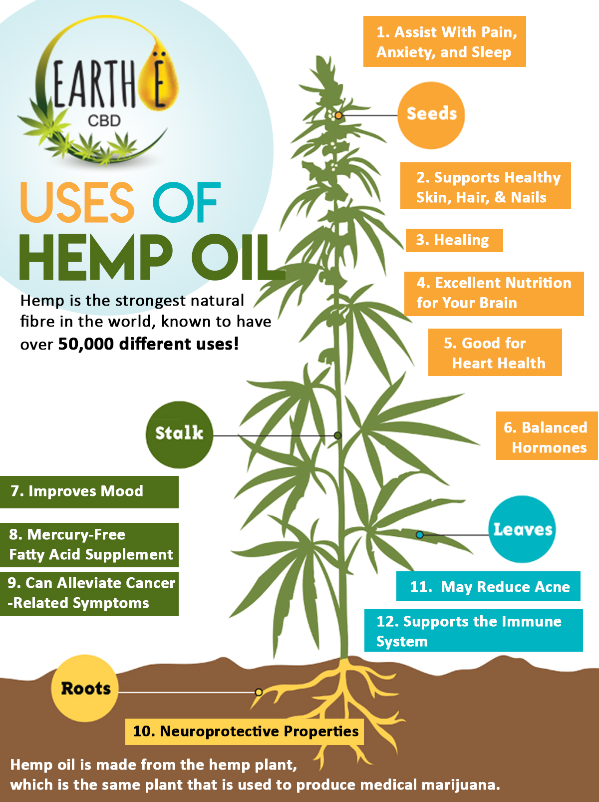 Hemp Oil Uses