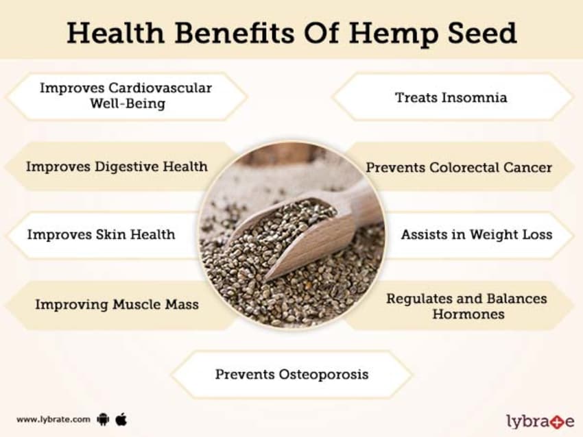 Hemp Seed Side Effects