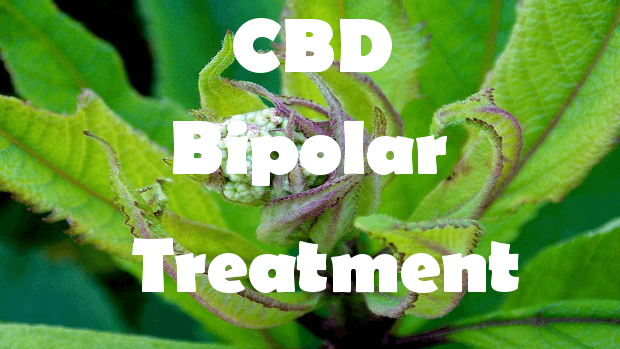 How Much Cbd Oil Should I Take For Bipolar