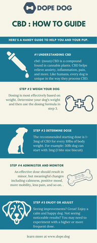 How To Administer Cbd Oil For Dogs