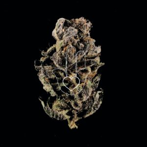 cbd oil for fibromyalgia pain