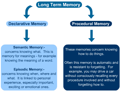 Long Term Memory Psychology Definition