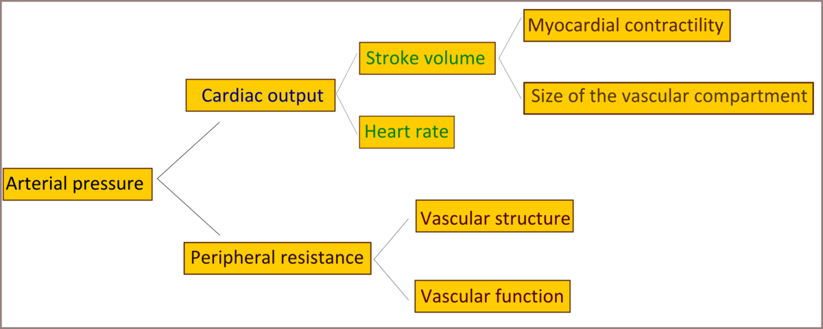 Patho Of Hypertension