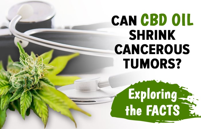 Cbd Cancer Treatment