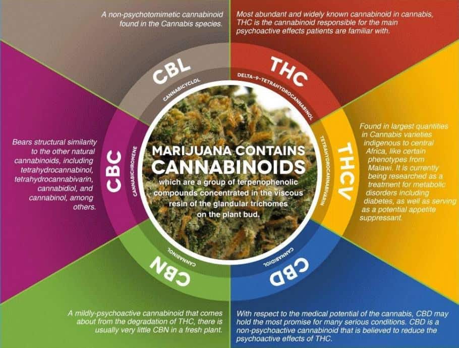 Define Cannabinoid