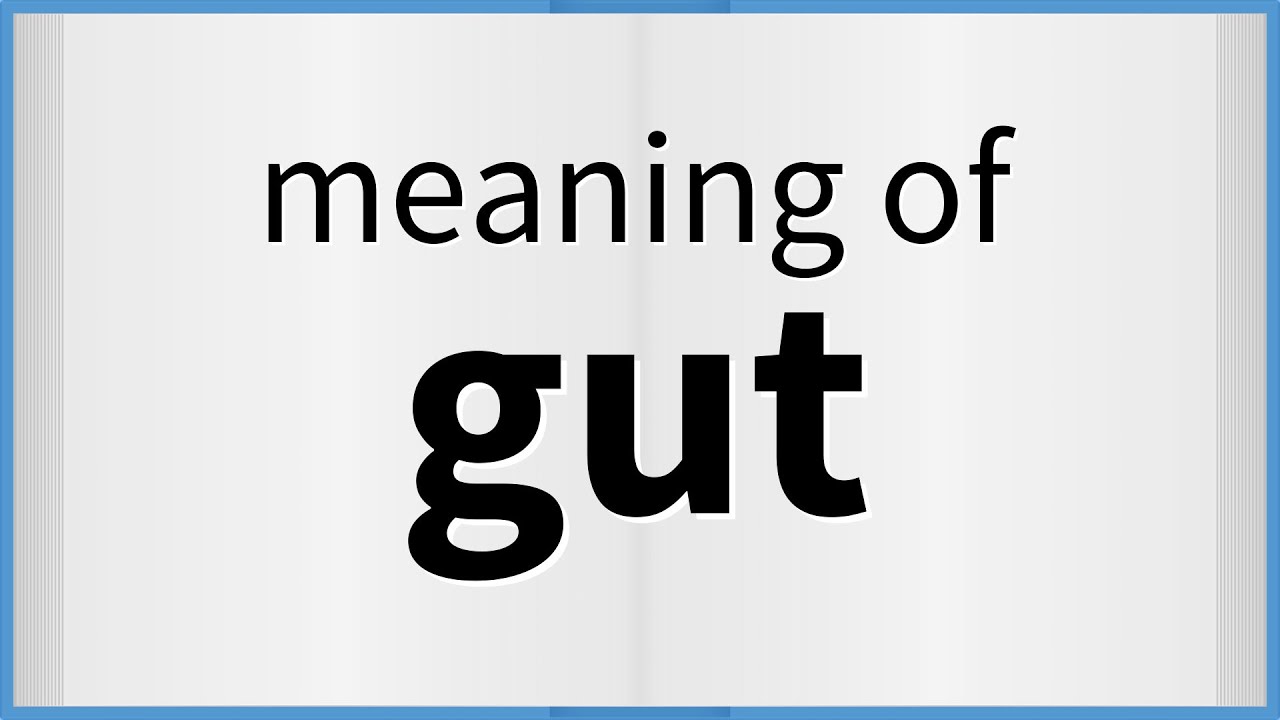 Gut Meaning