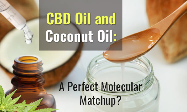 How To Make Cbd Oil With Coconut Oil