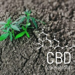 is cbd oil legal in kentucky 2019