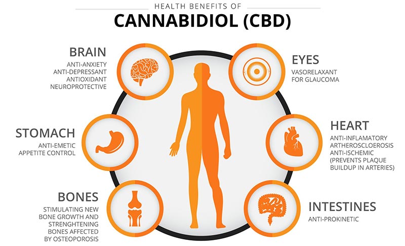 Medical Benefits Of Cbd