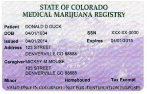 Medicinal Marijuana Co