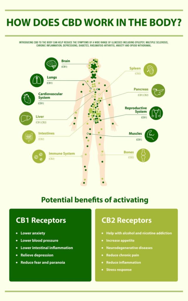 What Does Cbd Oil Help With » CBD Oil Treatments