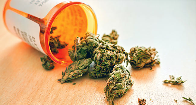 Buy Medicinal Marijuana